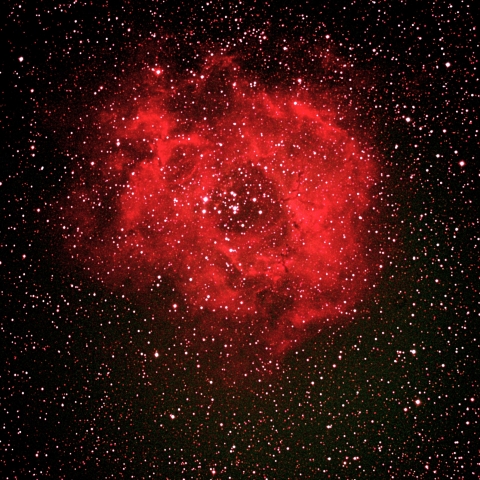 NGC2237  ばら星雲  　2024  3/8