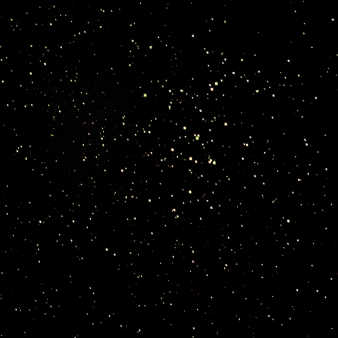 M44    プレセペ星団　 　2024  5/14