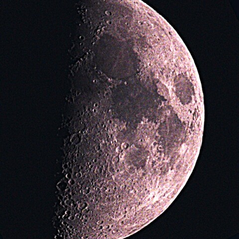 月齢8.0　 　2024  6/14