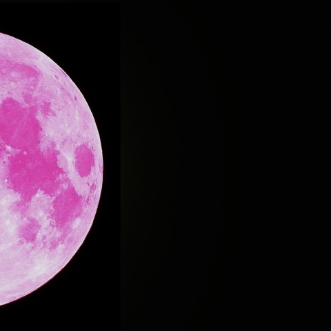 月齢14.3   中秋の名月   土星　　2024  9/17