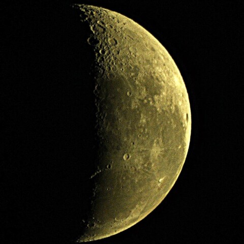 月齢22.7　 　　2024  9/26