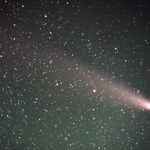 紫金山　アトラス彗星　　C/2023 A3   　　2024  10/30