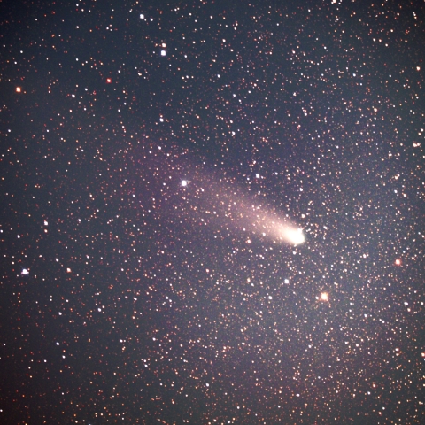 紫金山　アトラス彗星　　C/2023 A3   　　2024  11/09