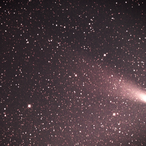 紫金山　アトラス彗星　C/2023  A3       　　2024  11/11