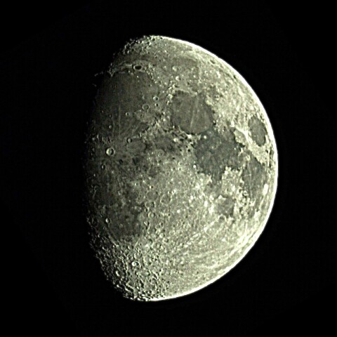 月齢9.9　      　2024  11/11