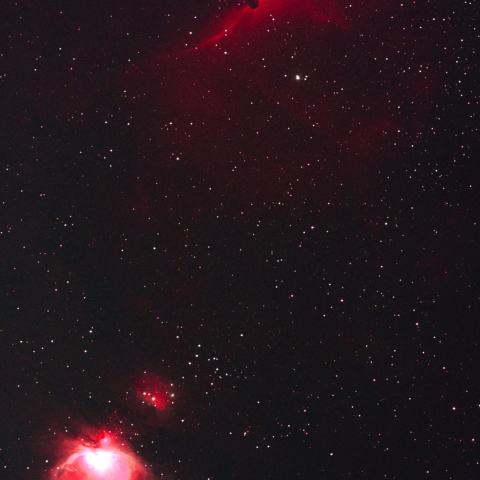 M42  オリオン大星雲　　IC434　馬頭星雲　2024  12/17