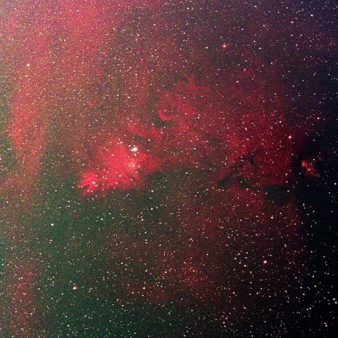 NGC2264    クリスマスツリー星団　　　2024  12/17