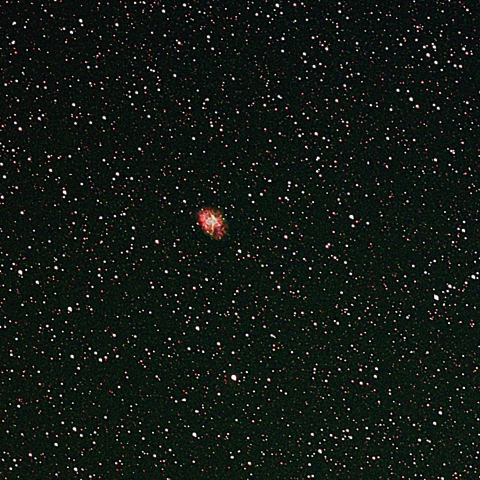 M1   かに星雲　　　　2024  12/24