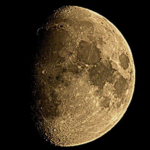 月齢10.7　　2025-08-04