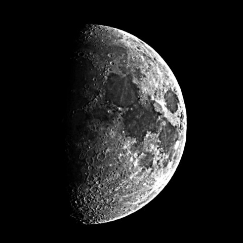 月齢9.2　　2025-09-01