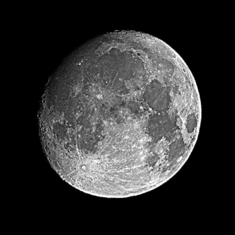 月齢13.1　　2025-09-05