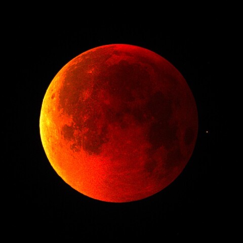 月齢15.5　皆既月食　2025-09-08