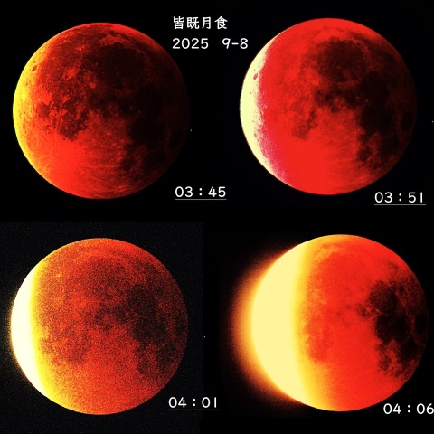 月齢15.5  2025-09-08