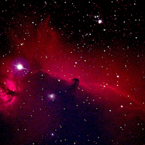 NGC2024   燃える木星雲    IC434   馬頭星雲　　2025-11-22
