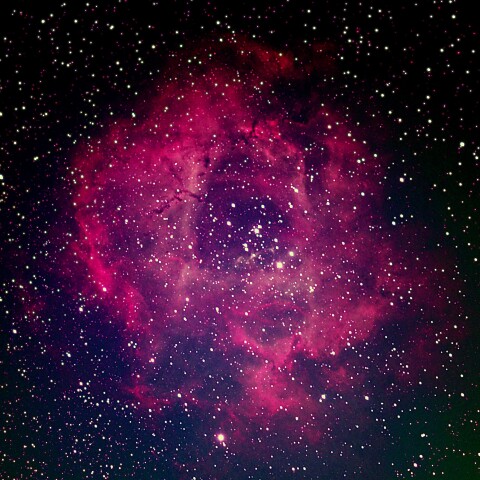 NGC2237    ばら星雲   　　2025-12-28