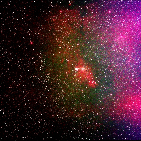 NGC2264   クリスマスツリー星団周辺　  2026-4-2
