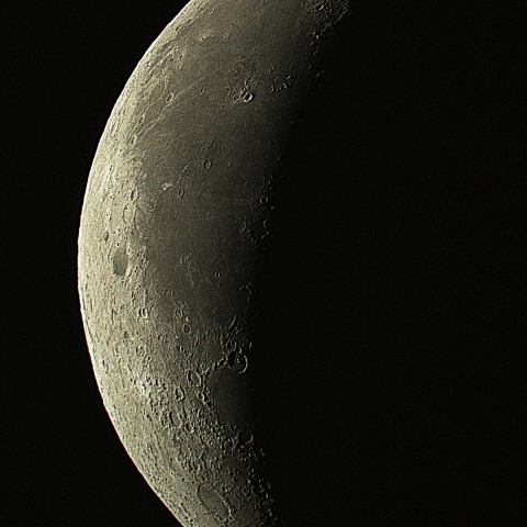 月齢24.8　　  2026-4-13