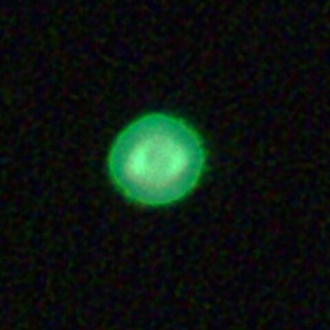 NGC3242   木星状星雲　　  2026-5-10