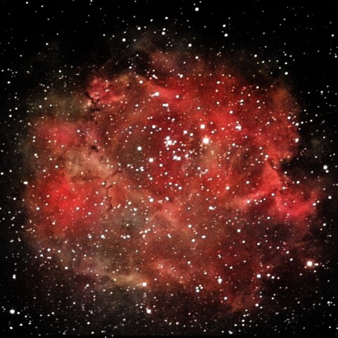 NGC2237　ばら星雲　2022　1/3