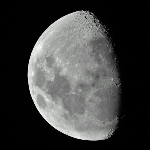 月齢9.7　   2022  8/７