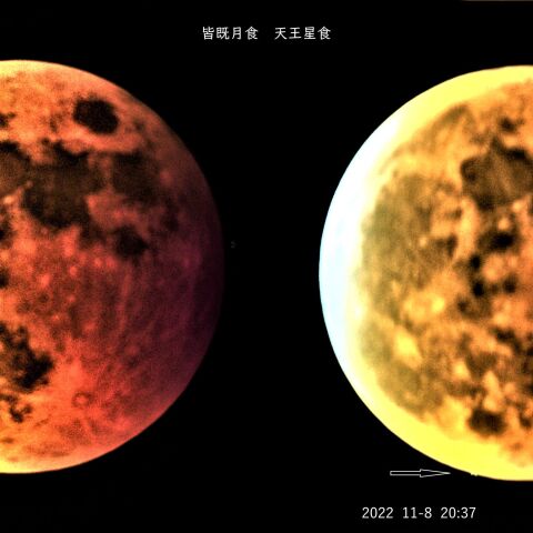 皆既月食　天王星食　2022 11/8              