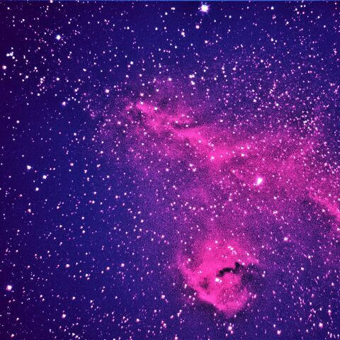 大質量星に近い星では惑星は生まれにくい!? | アストロピクス