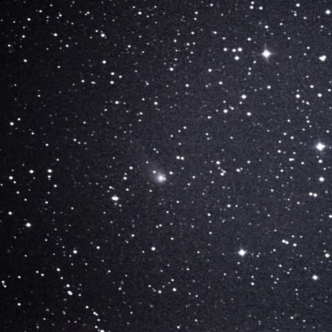 C/2020V2　ズイーテーエフ彗星　2023 2/17         