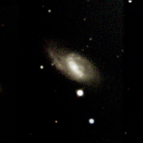 M65  M66  NGC3628  しし座３トリオ　2023 3/14         