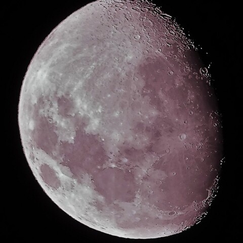 月齢11.3　　2023 5/1        