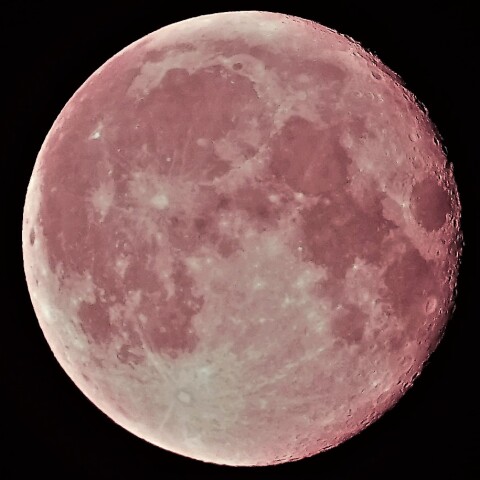 月齢16.1　2023  9/1        