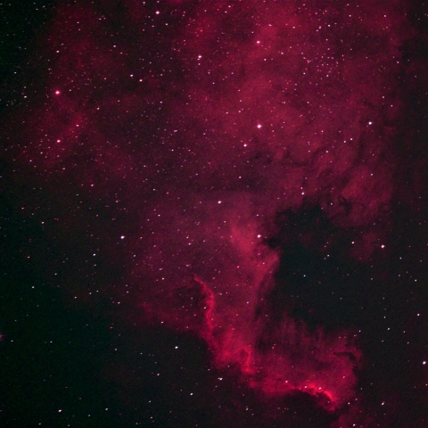 NGC7000　北アメリカ星雲 　2023  9/24       