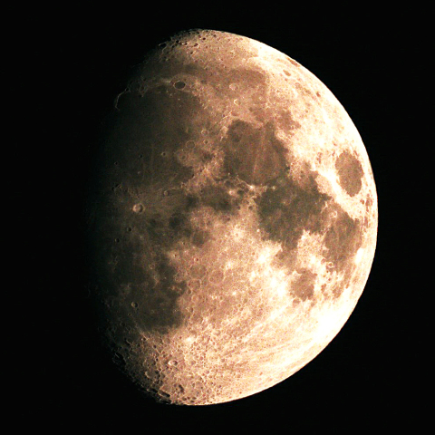 月齢10.4　　2023  9/25       