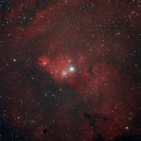 NGC2264