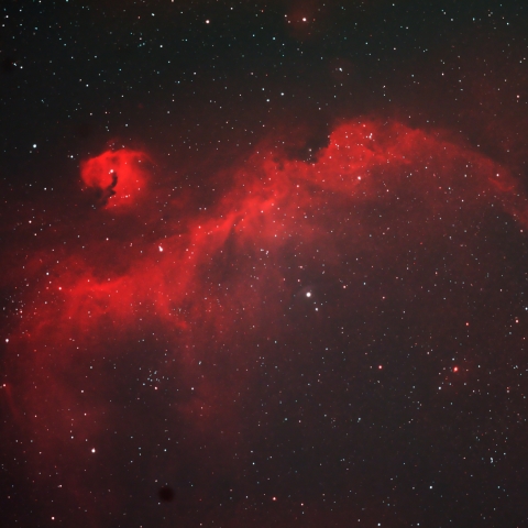 月明かりの中のカモメ星雲