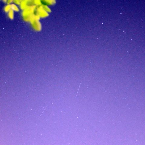 2010年 ふたご座流星群