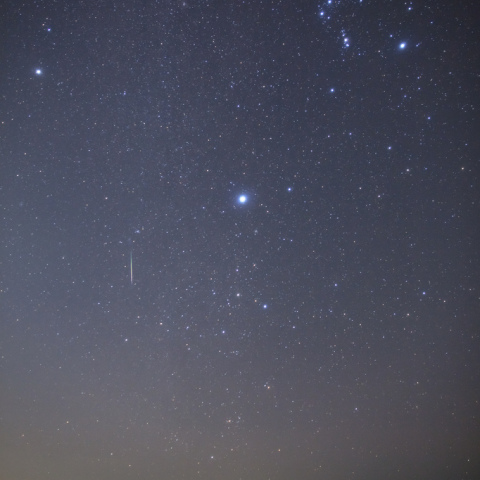 オリオン座流星群とカノープス
