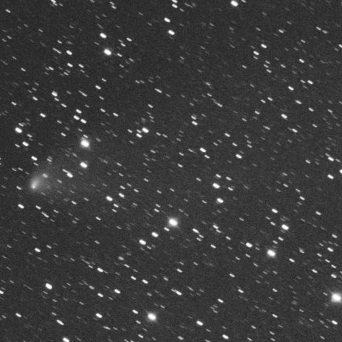 パンスターズ彗星