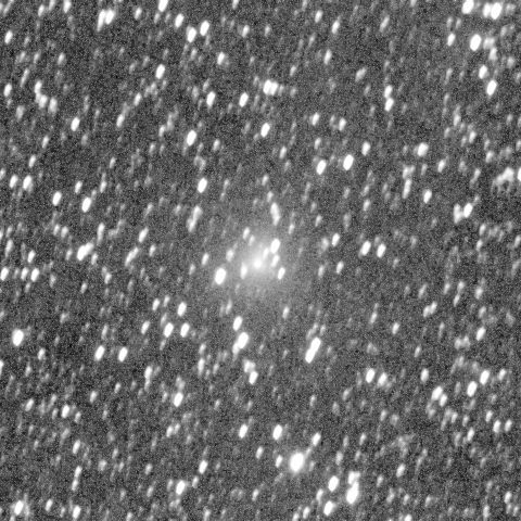 ラブジョイ彗星