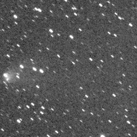 パンスターズ彗星