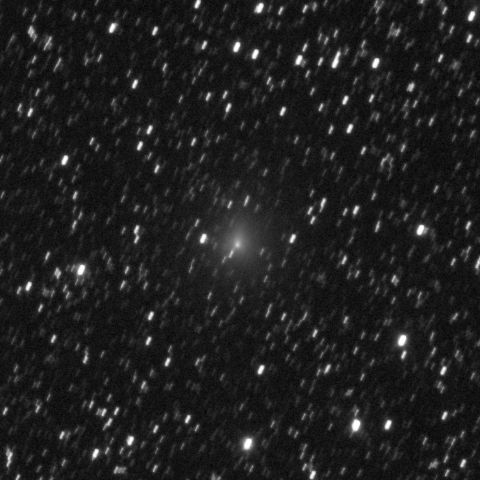 ラブジョイ彗星