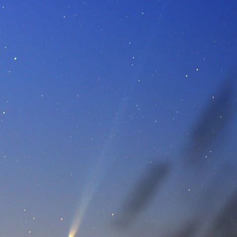 11月23日のアイソン彗星