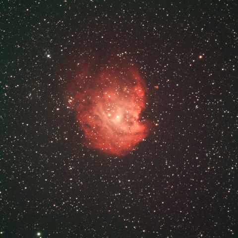 NGC2175　モンキーフェイス星雲