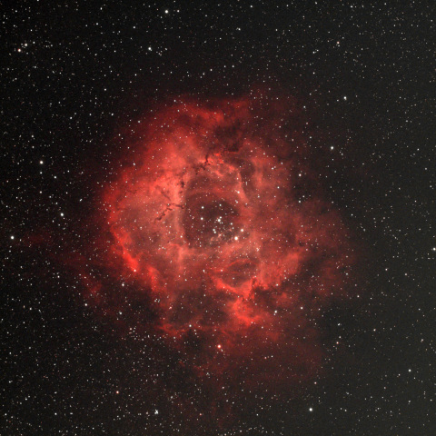 バラ星雲 NGC2244 いっかくじゅ座