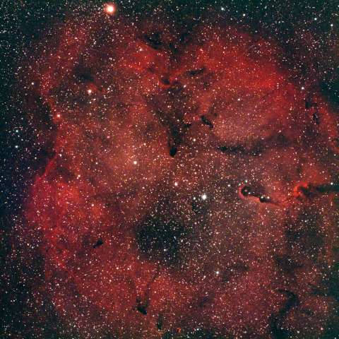 IC1396 ガーネットスター星雲