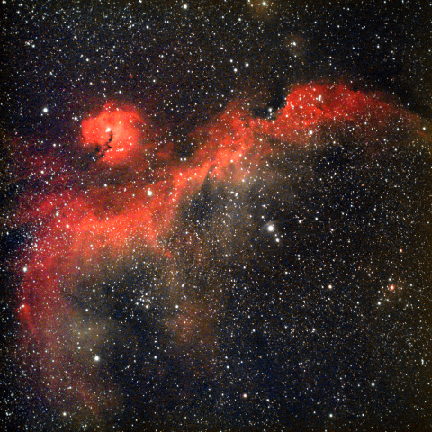 IC2177　カモメ星雲