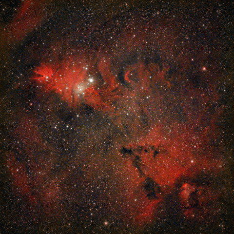 NGC2264　コーン星雲