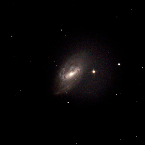 M66