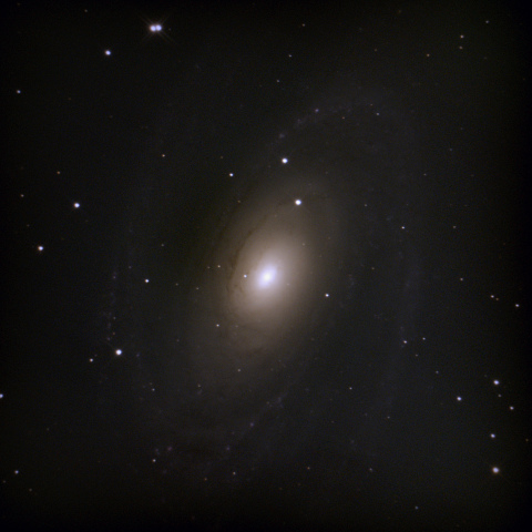 M81