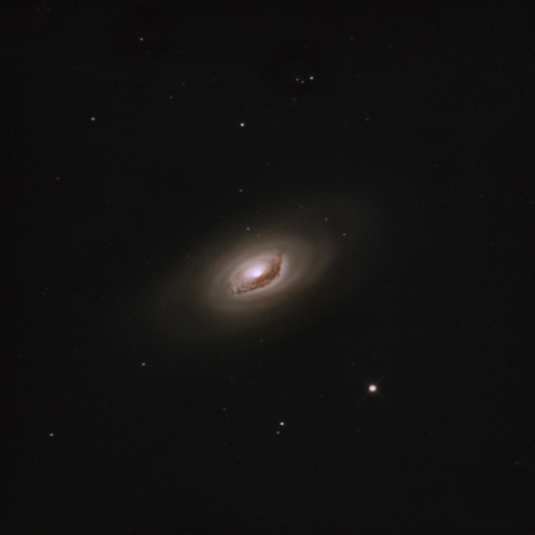 M64