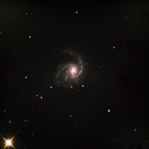 M99